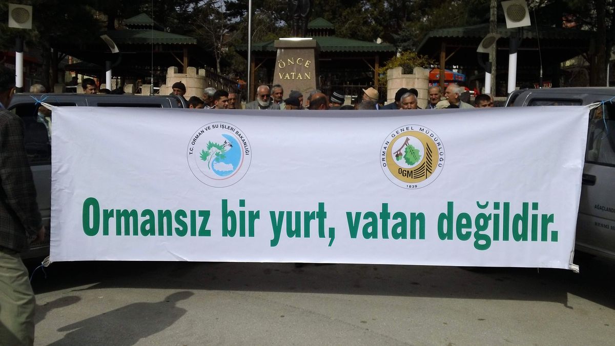 Tosya\'da 500 Fidan Dağıtıldı