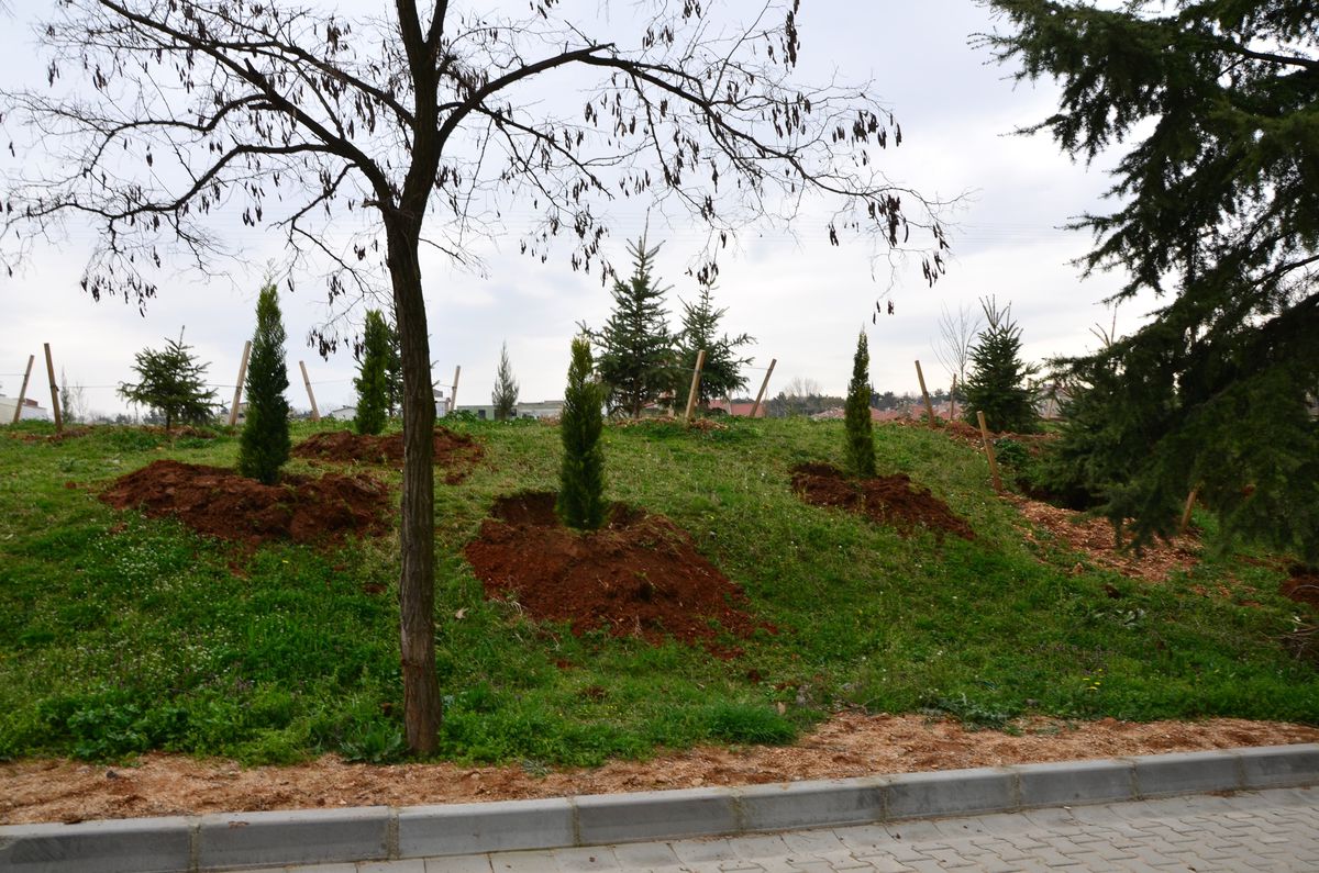 Babaeski Yaza Hazırlanıyor