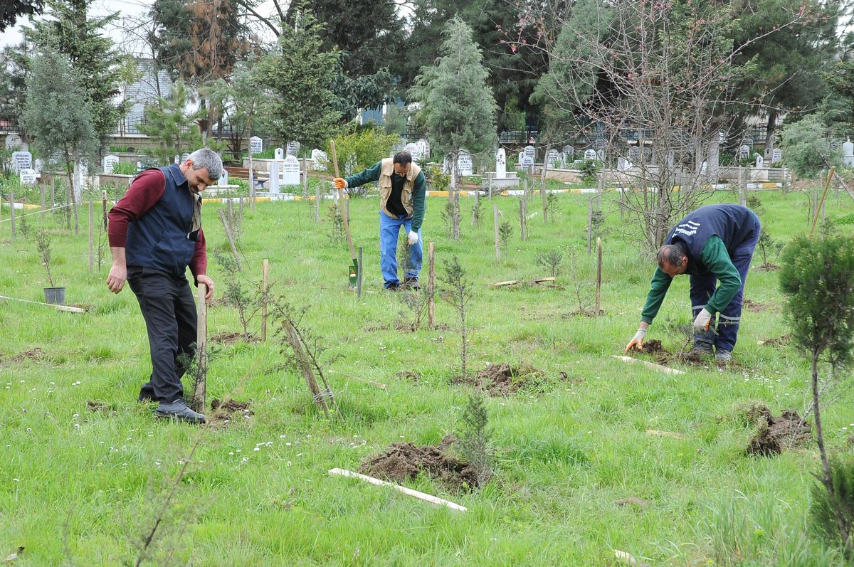 Başiskele\'deki Mezarlıklar Bakımda