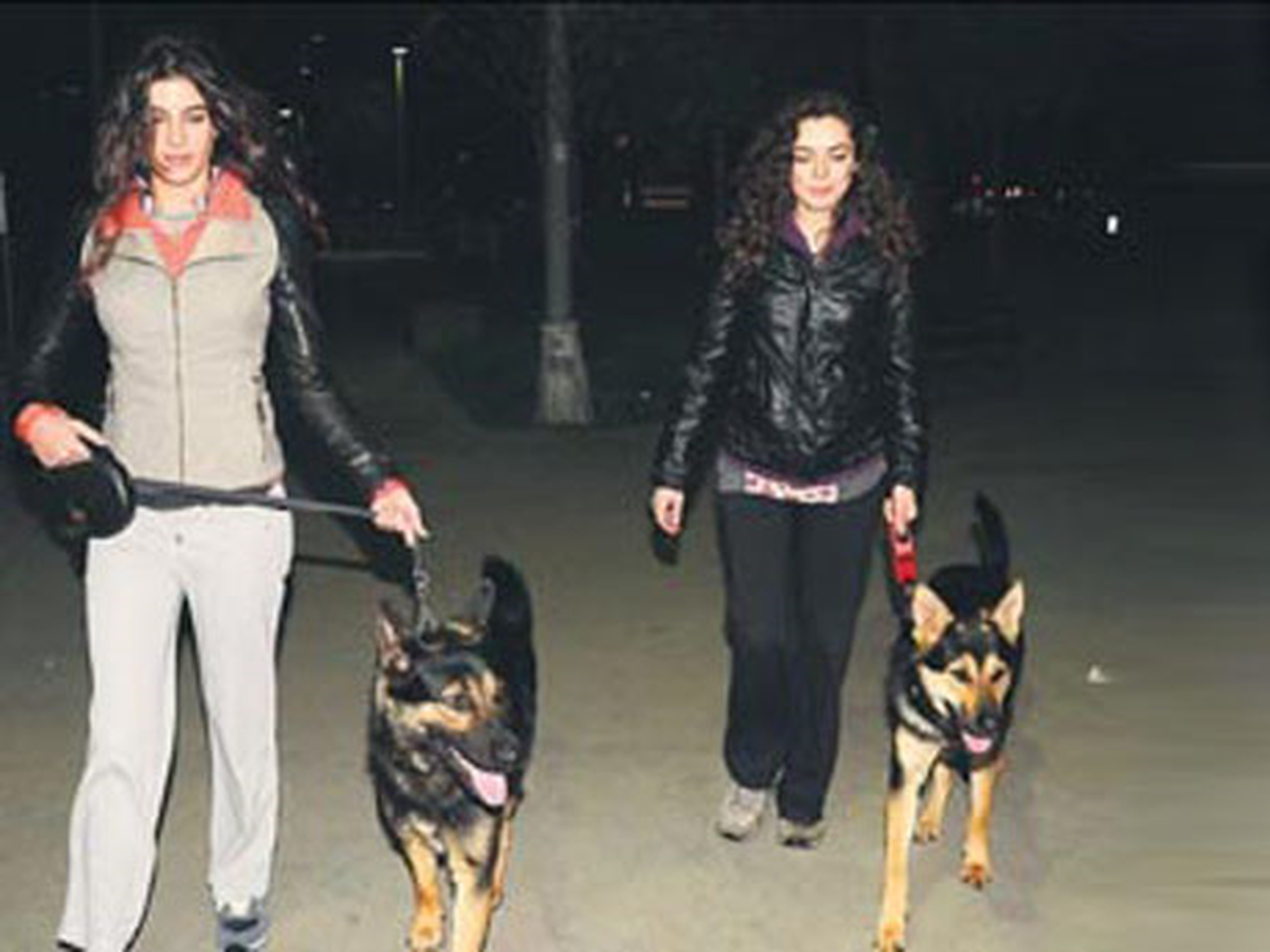 Bu İşin Sırı Ne?