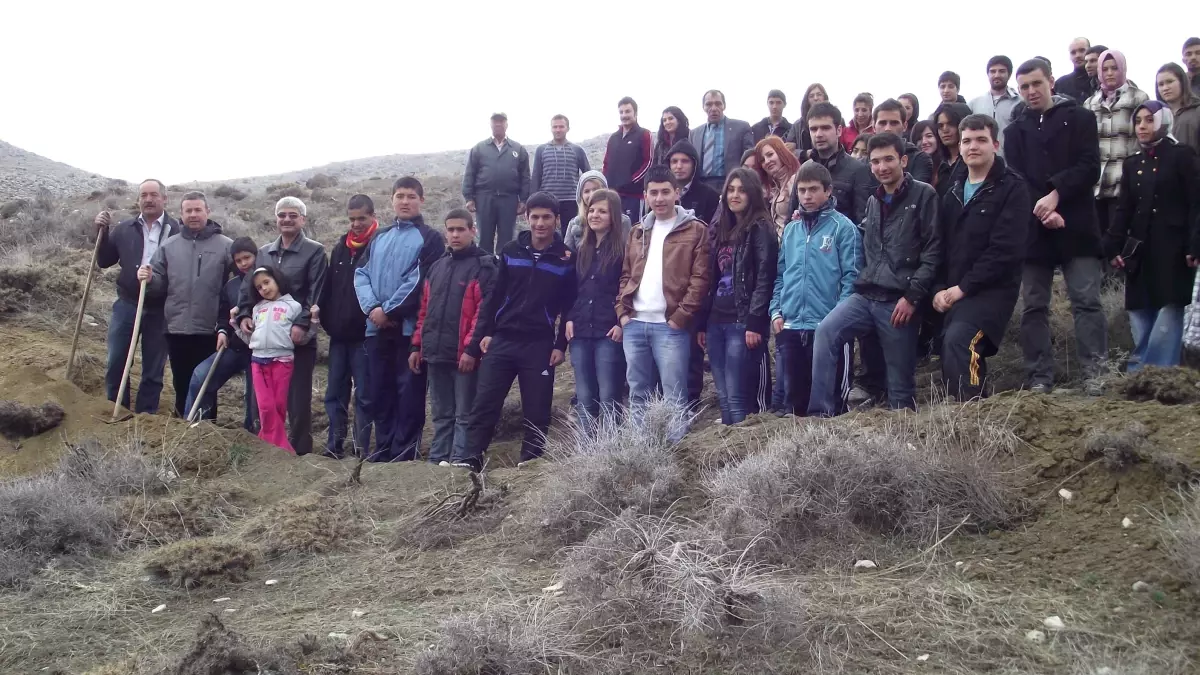 Burdur'da Fidan Dikimi