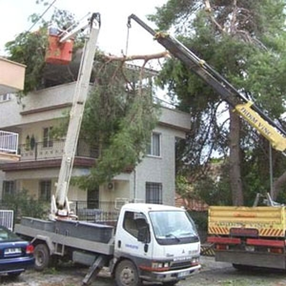 Bursa\'da Lodos Ağaçları, Trafik Lamba Direklerini Yerle Bir Etti.
