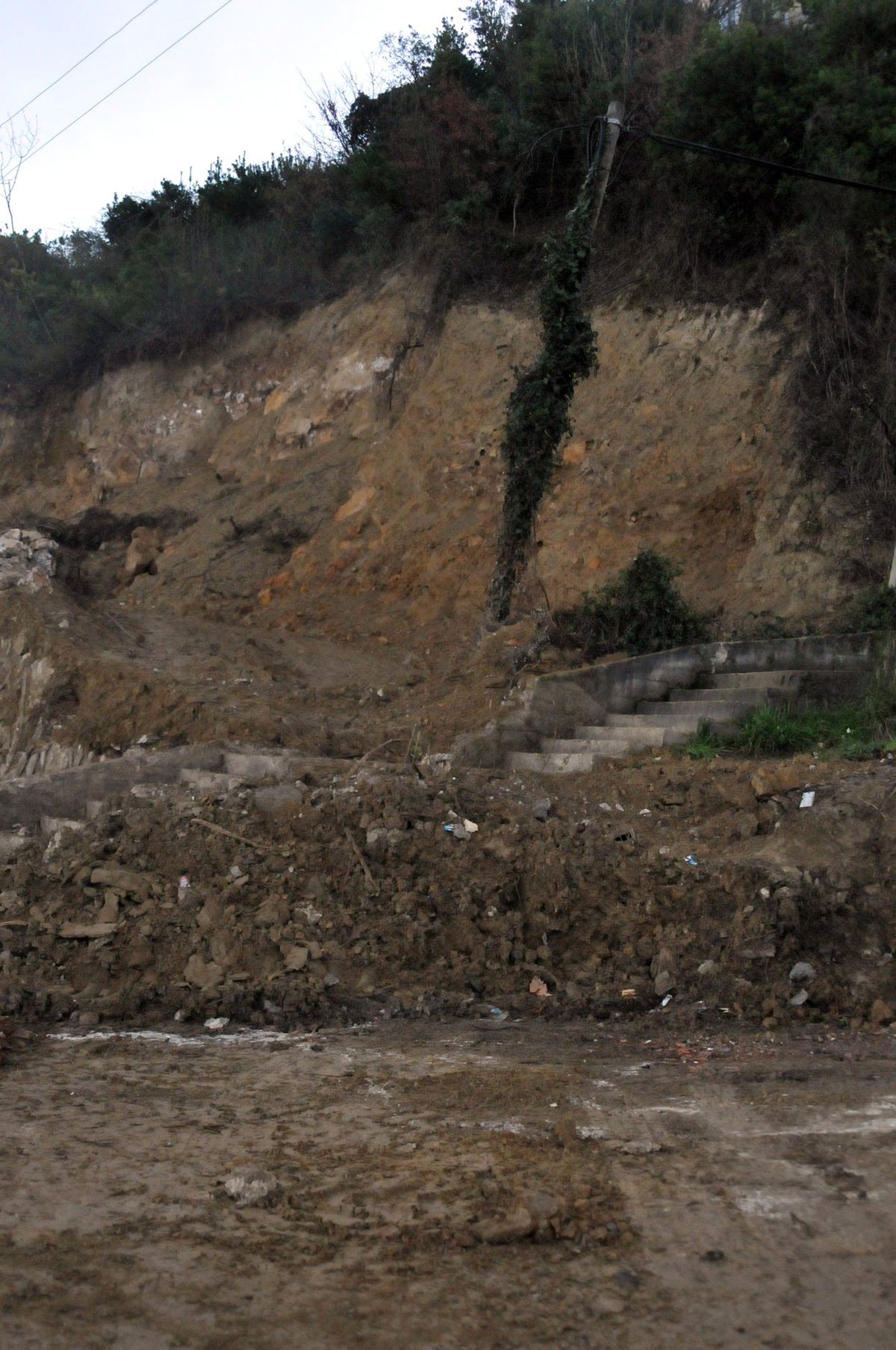 Çınarcık\'ta Korkutan Heyelan