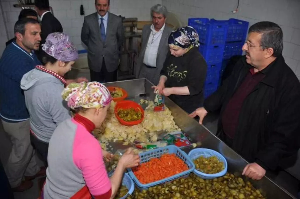 Eskipazar\'a Turşu Fabrikası