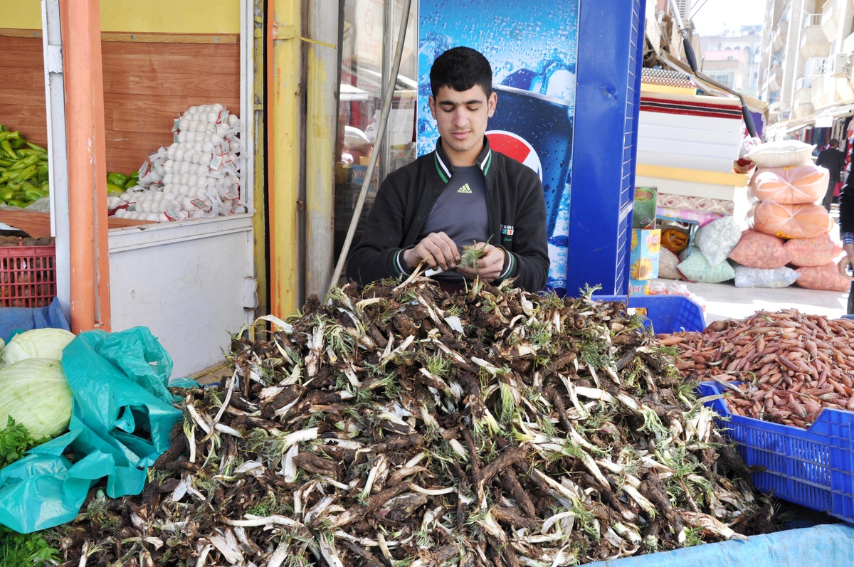Kızıltepe\'de Kengere Büyük İlgi