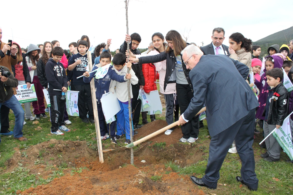 Maltepe İstanbul\'a Yeni Bir Orman Kazandırdı