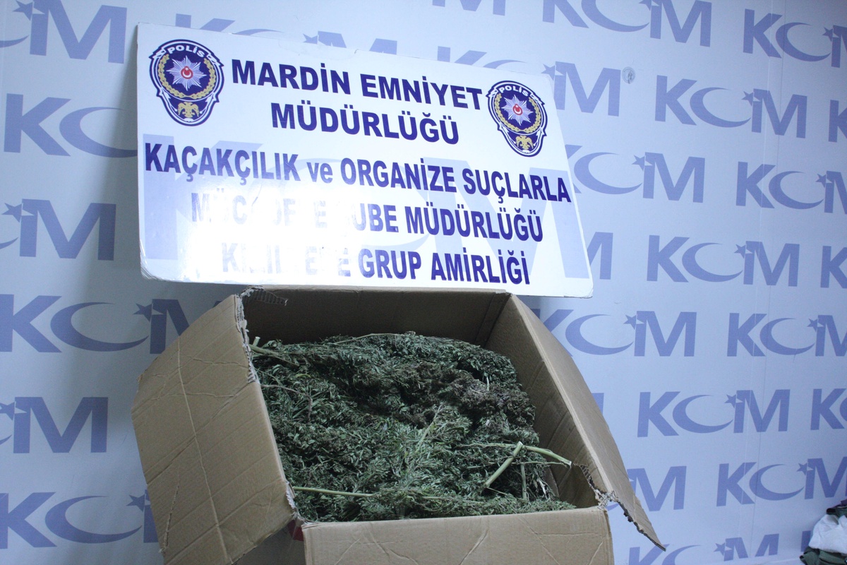 Mardin\'de 1 Kişi 10 Kilogram Esrarla Yakalandı