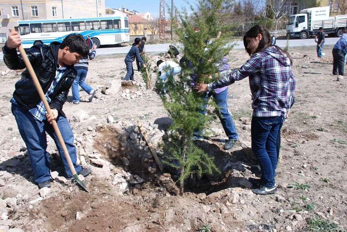 Melikgazi\'de Fidan Dikimi Çalışmaları Başladı