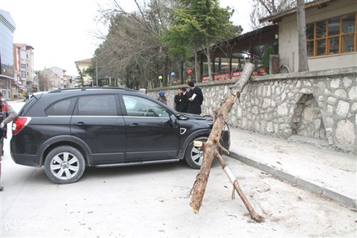 Osmaniye\'de Fırtına Ağaçları Devirdi