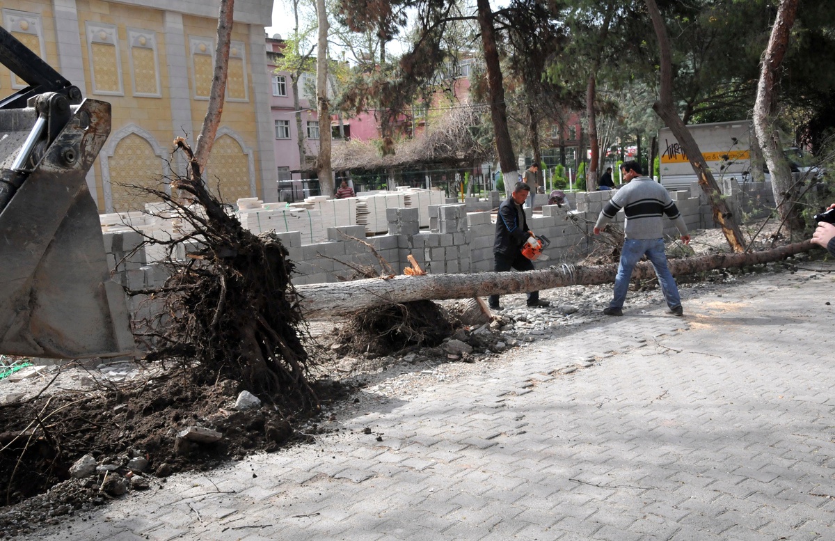 Osmaniye\'de Fırtına Ağaçları Kökünden Söktü