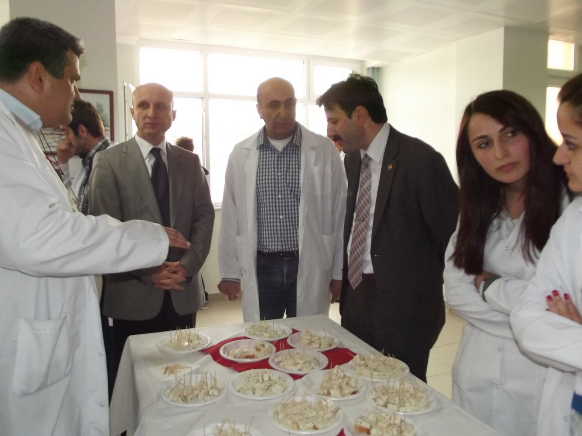 Peynir ve Zeytini Karıştırıp Yeni Ürün Çıkardılar