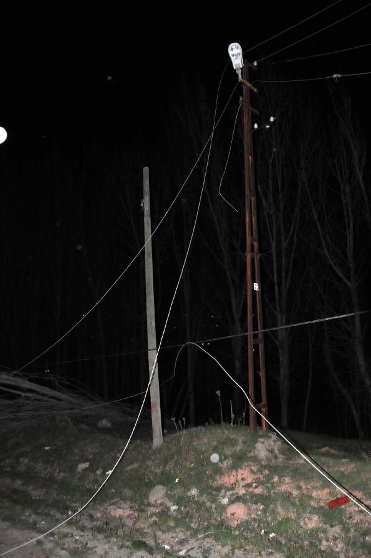 Devrilen Ağaç Elektrik Tellerini Kopardı
