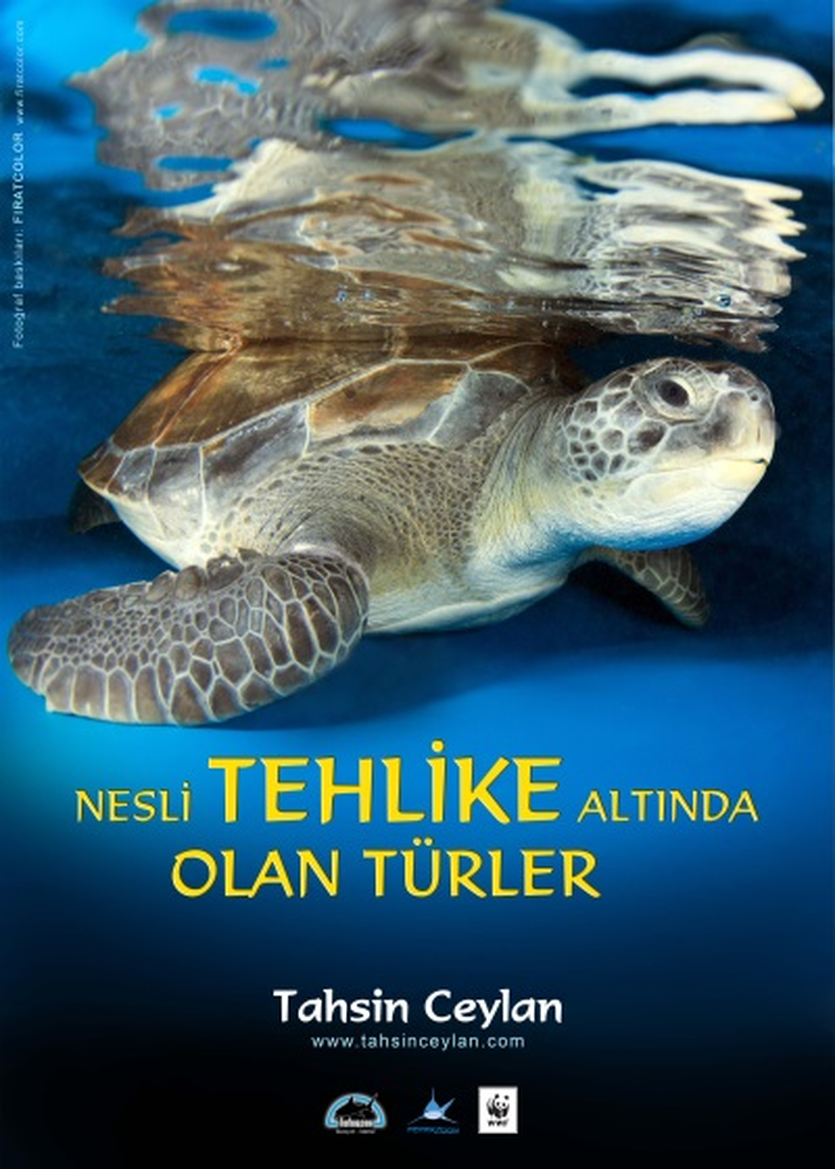 Turkuazoo Akvaryum, Medex İstanbul fuarında