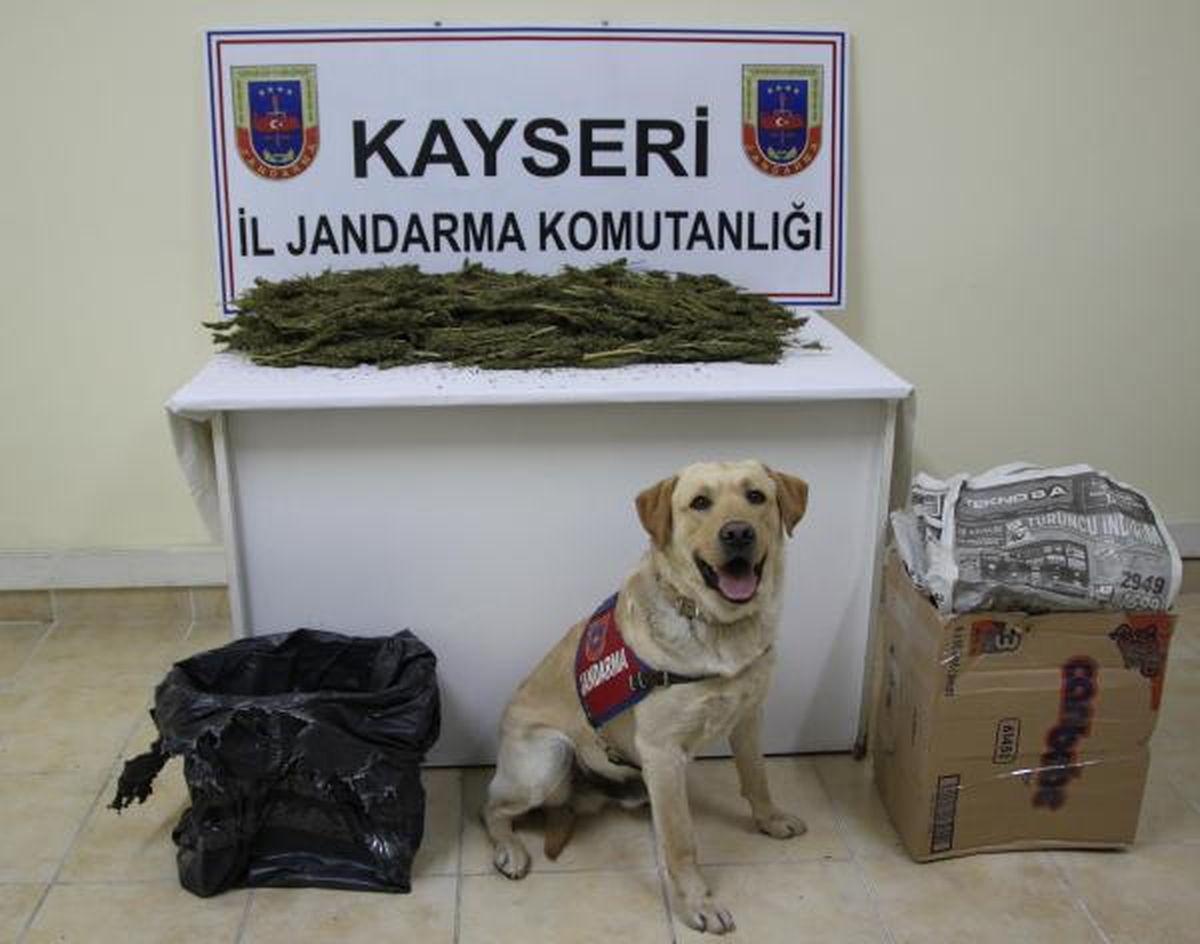 Yolcu Otobüsünde 2.5 Kilo Esrar Ele Geçirdi