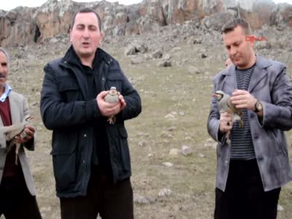 Yaralı Keklikler Yeniden Doğaya Bırakıldı