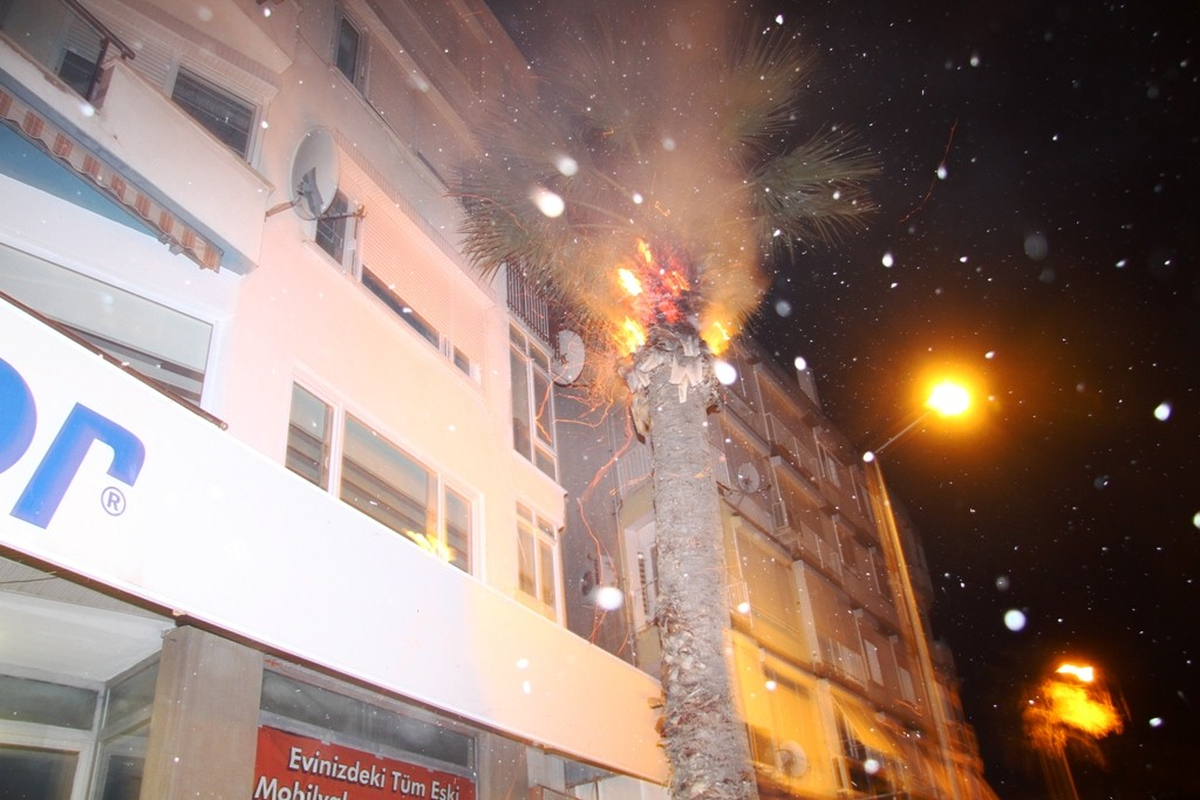 Atılan Sigara İzmariti Faciaya Neden Oluyordu