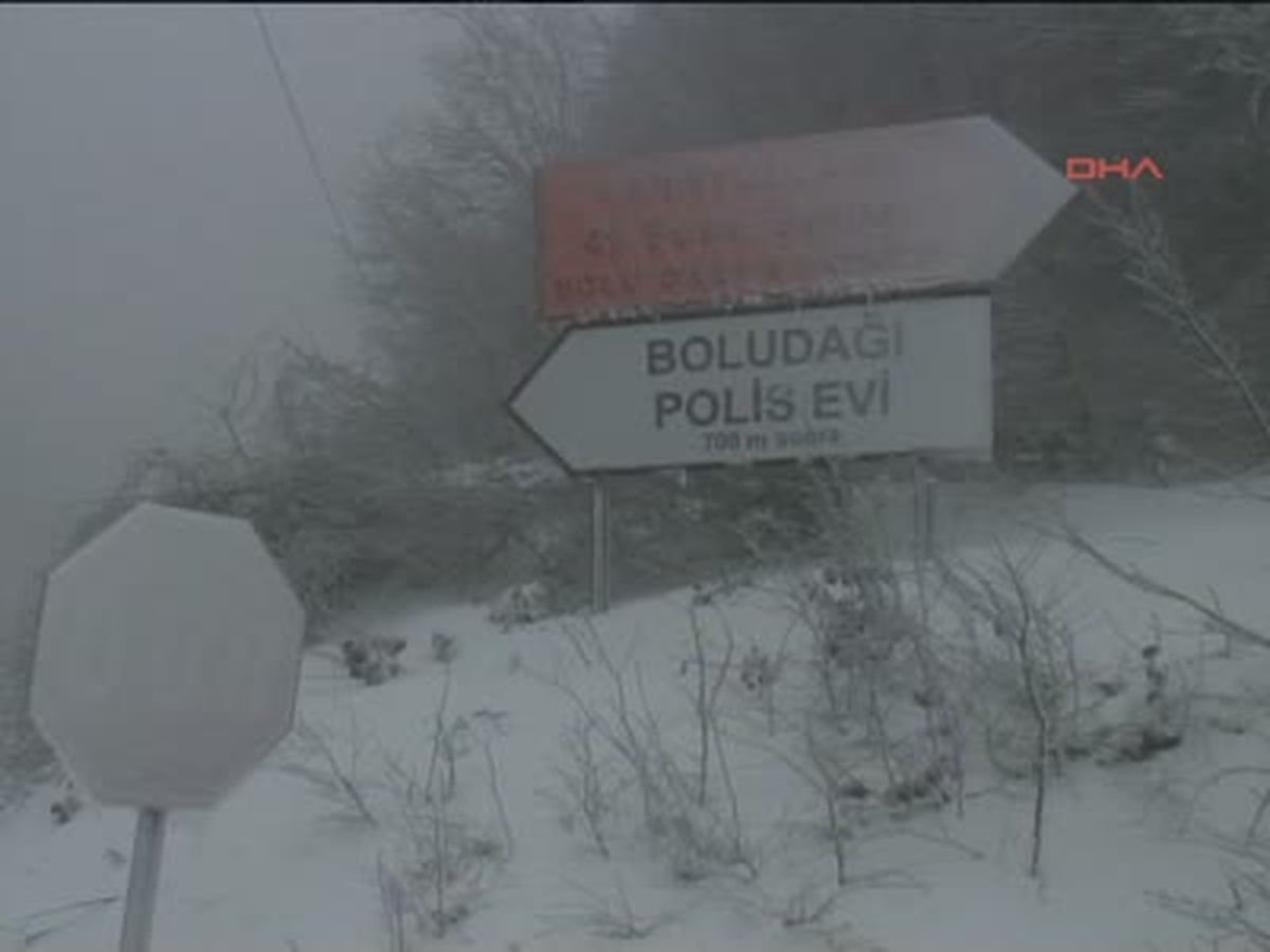 Bolu\'da Çiçekler Karla Kaplandı