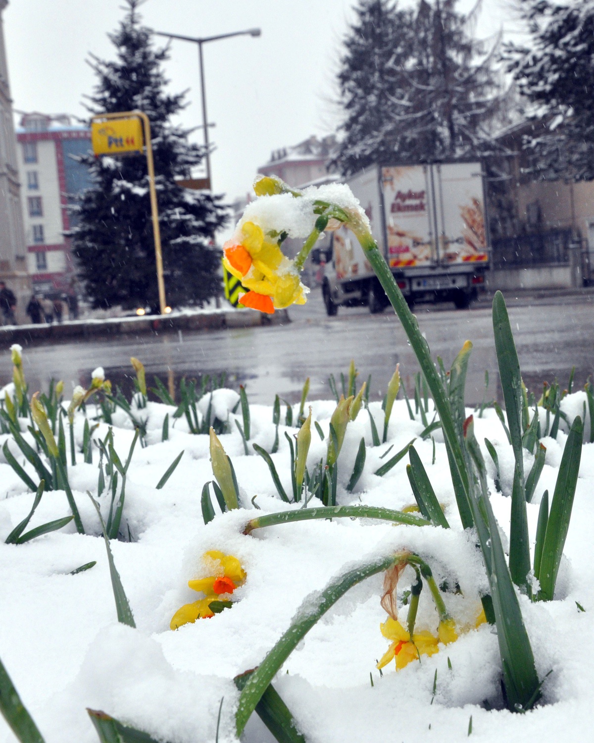 Bolu\'da Kar Yağışı Kent Merkezini Beyaza Bürüdü