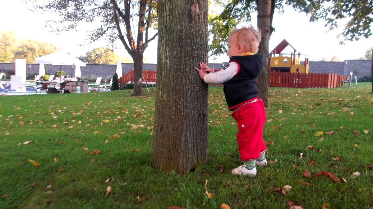 Dayko Edirne Temsilcisi Bacıoğlu'ndan Yeşil Alan Çağrısı