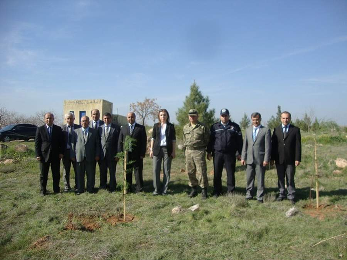 Elbeyli İlçesinde Fidanlar Toprak ile Buluştu