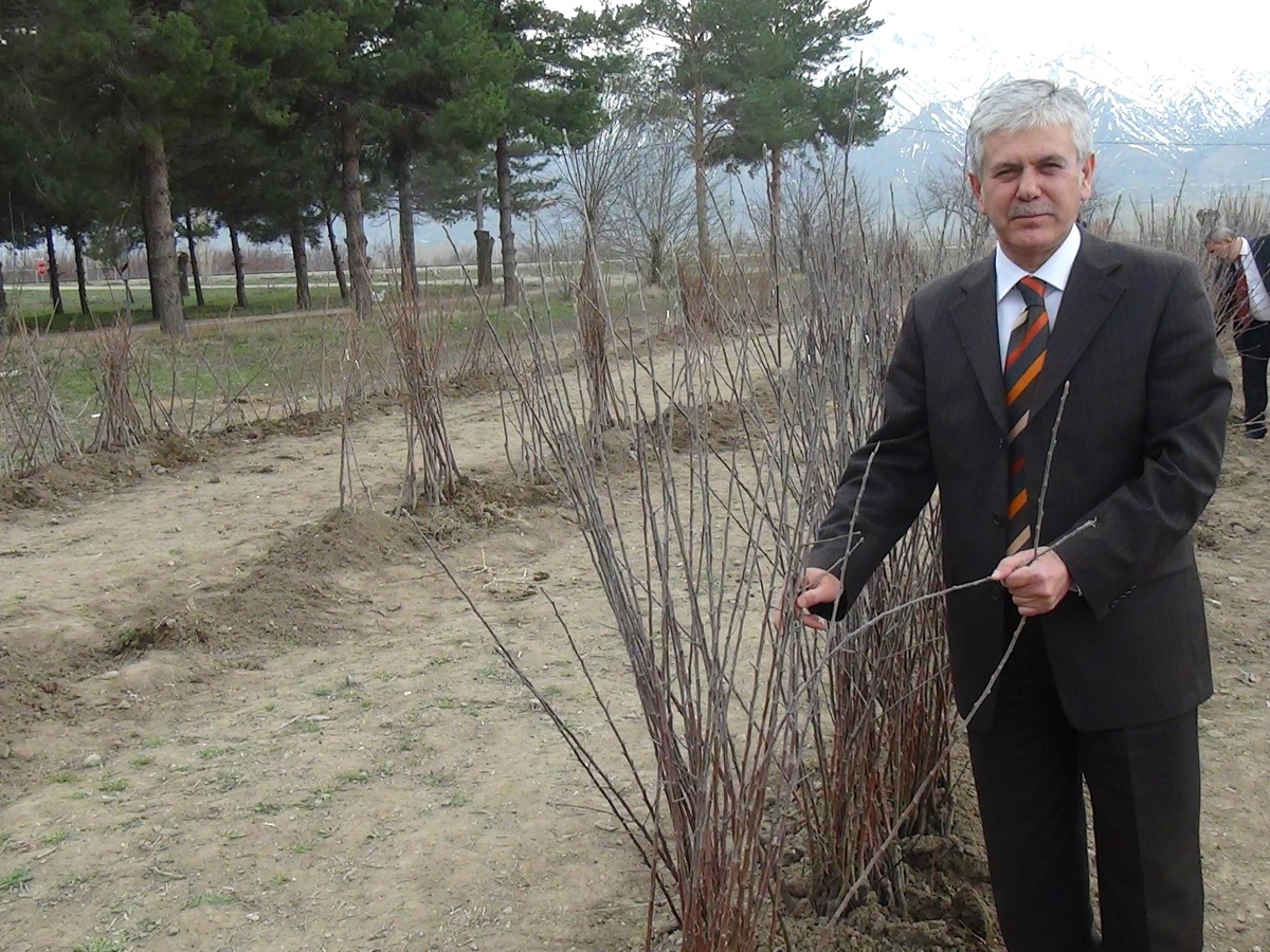 Erzincan\'da Meyve Fidanı Üretimi Arttı