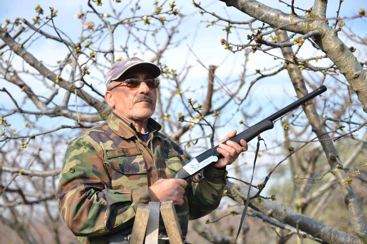 Kiraz Üreticileri Silahlı Nöbette