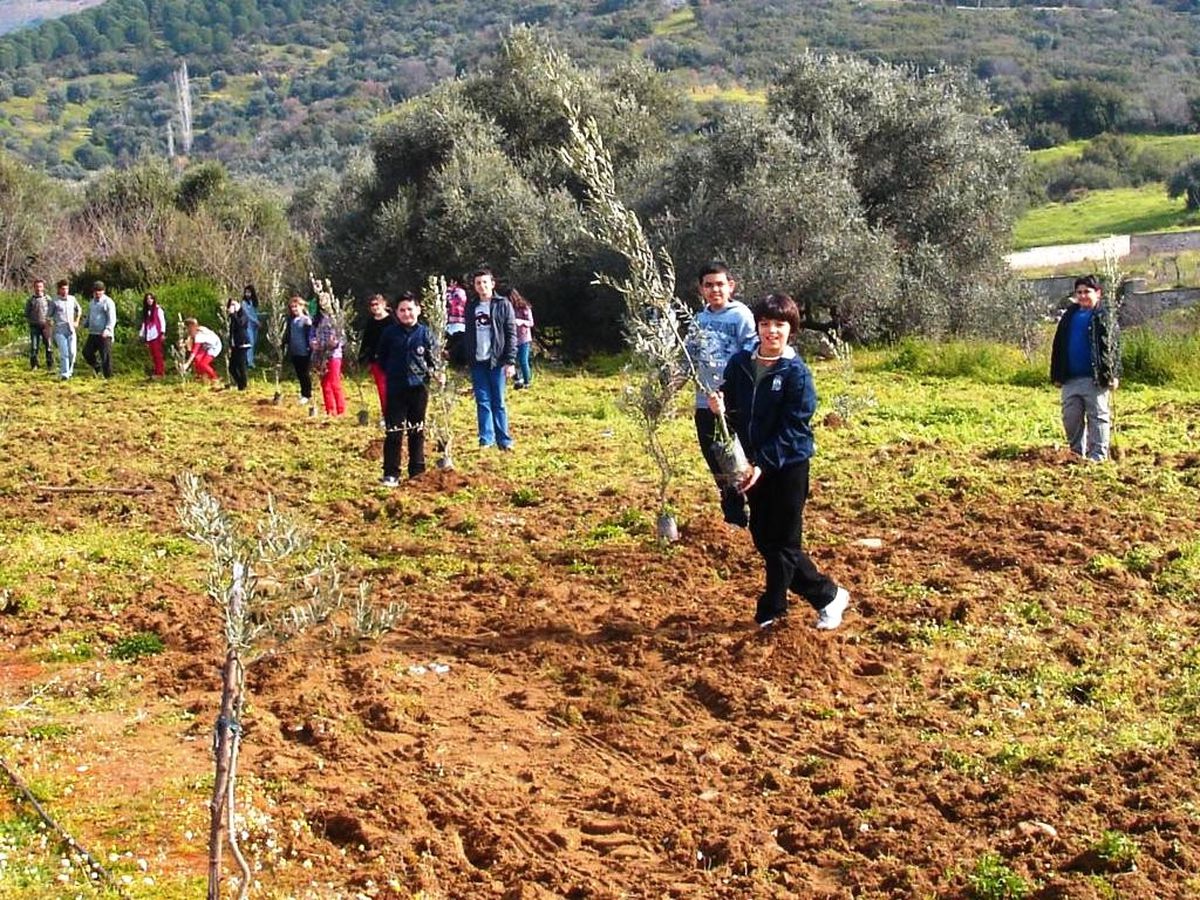 Özel Dünya Koleji Öğrencileri, Orman Haftası\'nda Zeytin Dikti