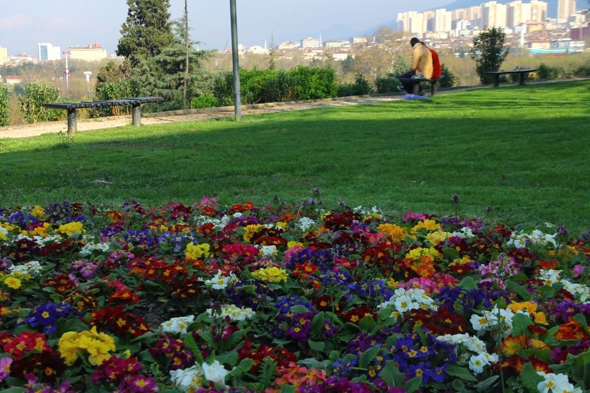 Bursa Çiçek Açtı