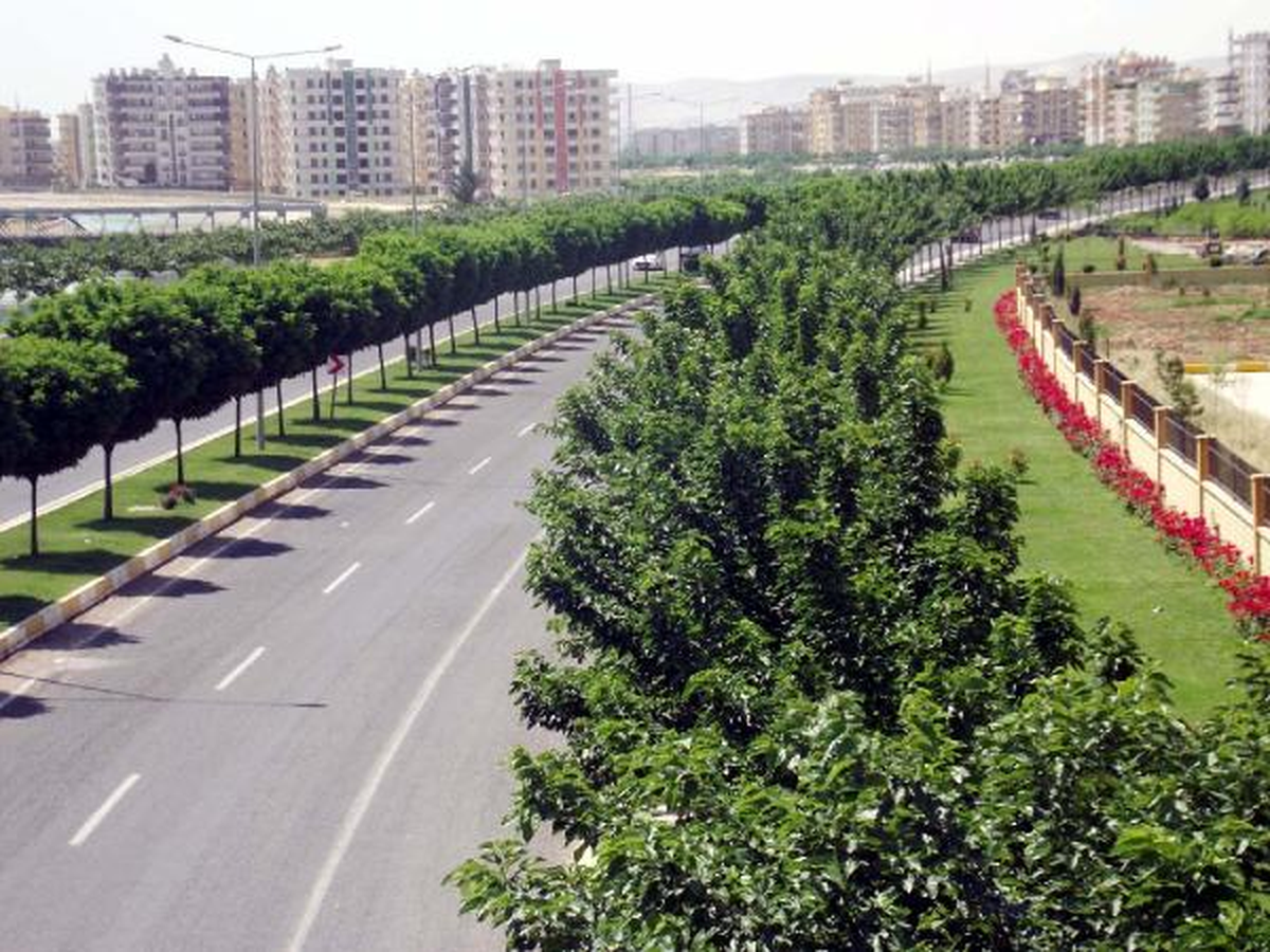 Fakıbaba: 9 Yılda 202 Yeni Park Yaptık