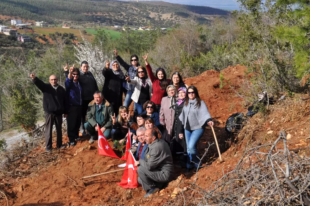 MHP'li Kadınlar Fidan Dikti