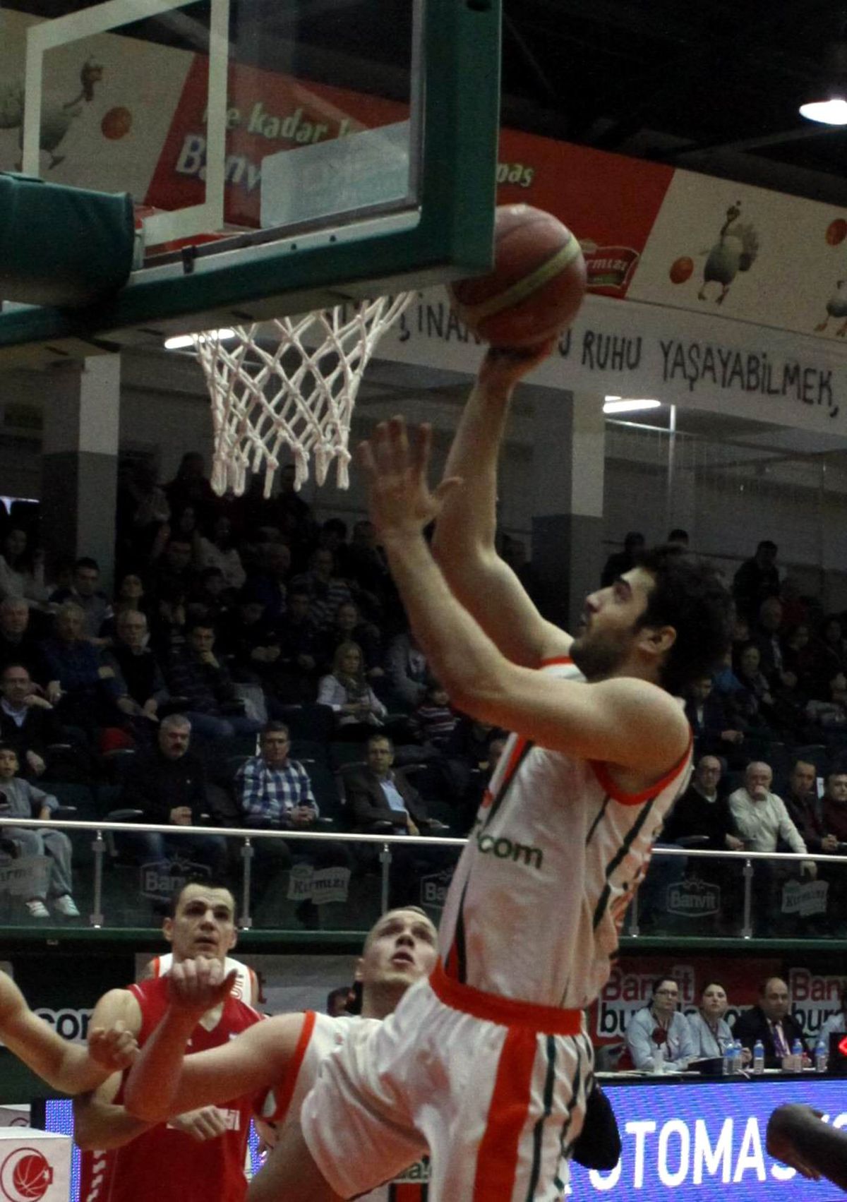 Beko Basketbol Ligi