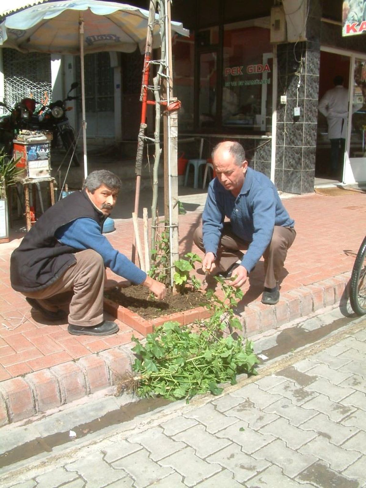 Burhaniye\'de Esnaflar Yeşile Sahip Çıktı