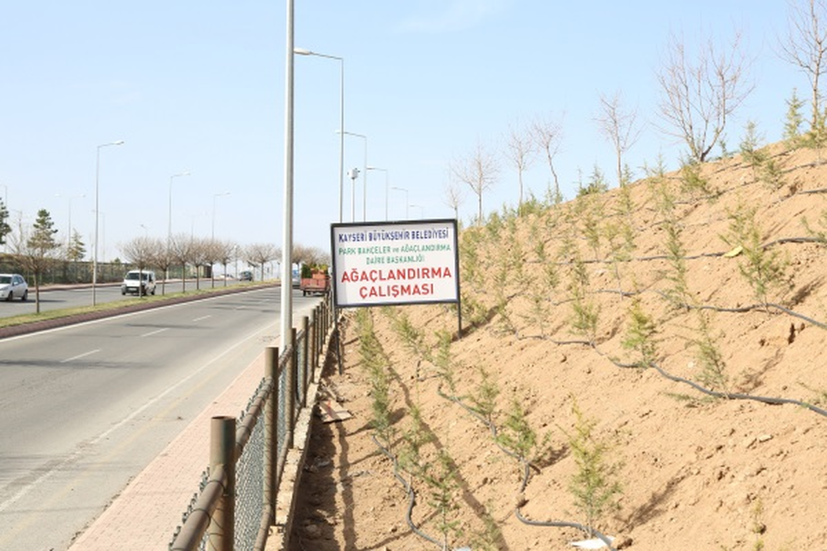 Büyükşehir Daha Yeşil Bir Kayseri İçin Çalışıyor