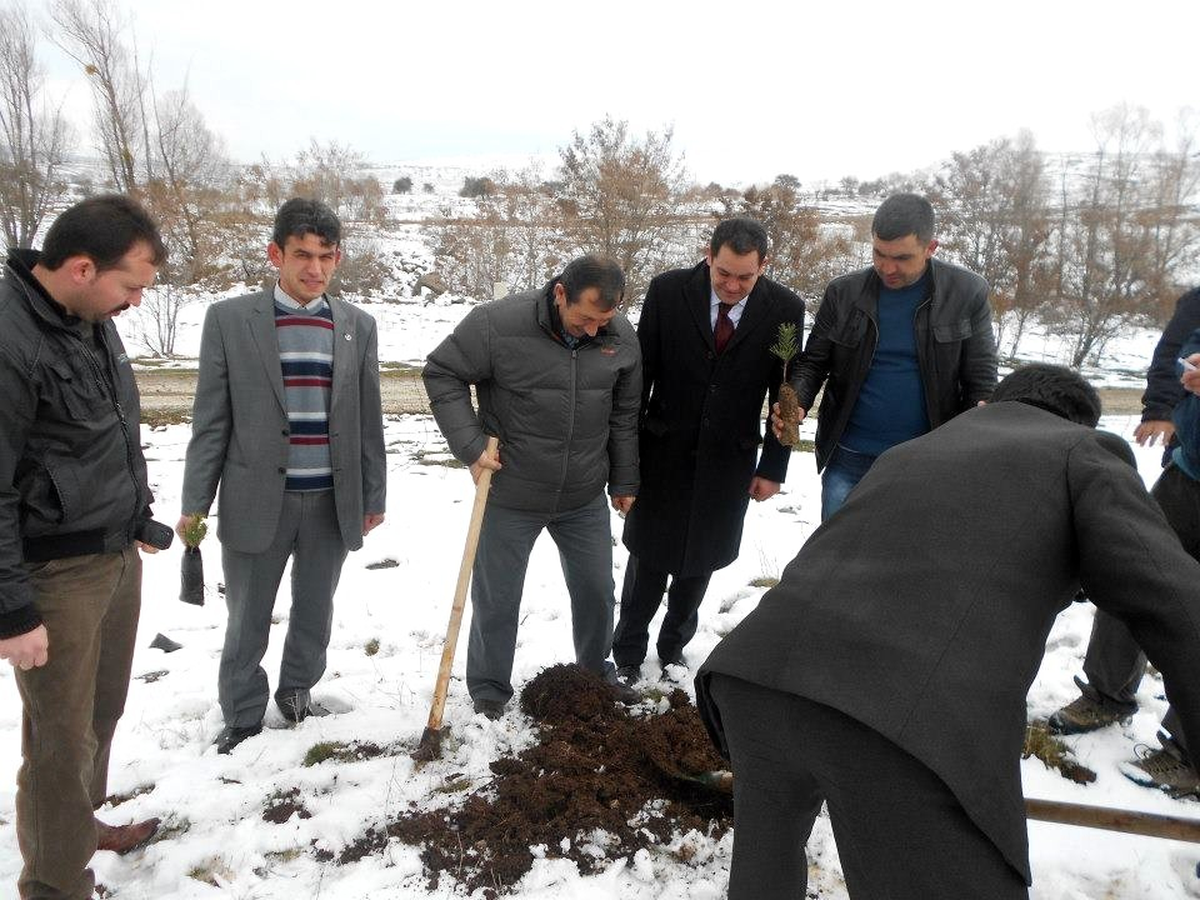 Çankırı\'da Yazıcıoğlu Anısına Hatıra Ormanı Oluşturuldu