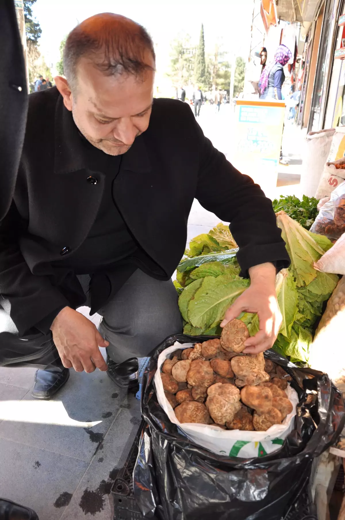 Dobelan Mantarına Yoğun İlgi