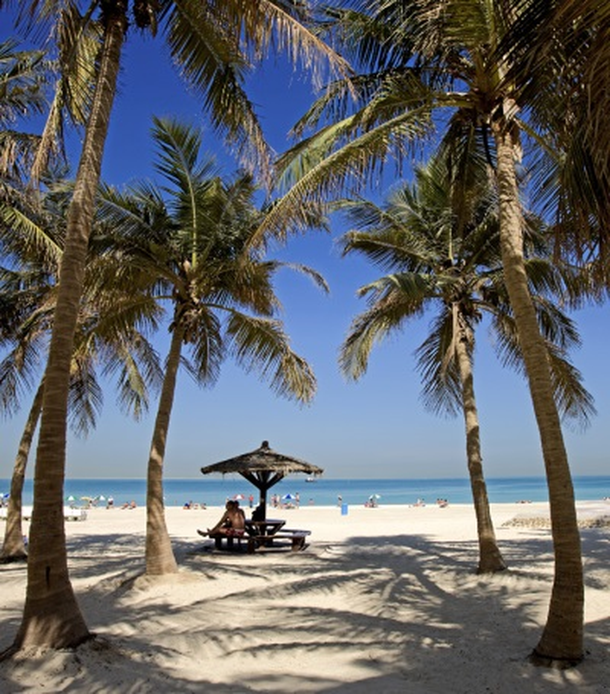 Dubai\'ye Özel Fiyatlarla Seyahat Fırsatı