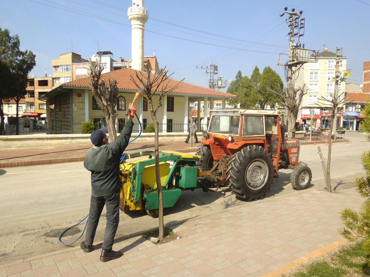 Fidanlarzararlı Böceklere Karşı İlaçlanıyor