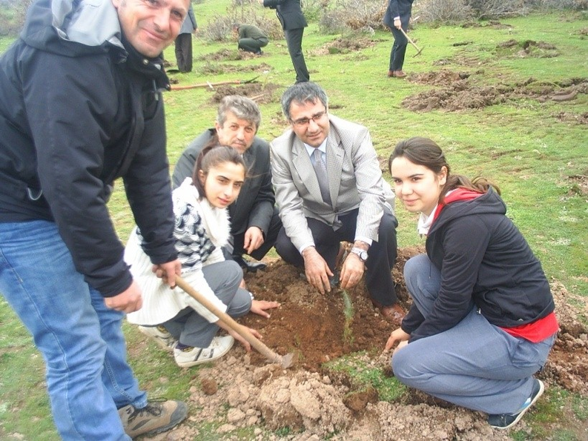 Gömeç\'te Ağaç Bayramı