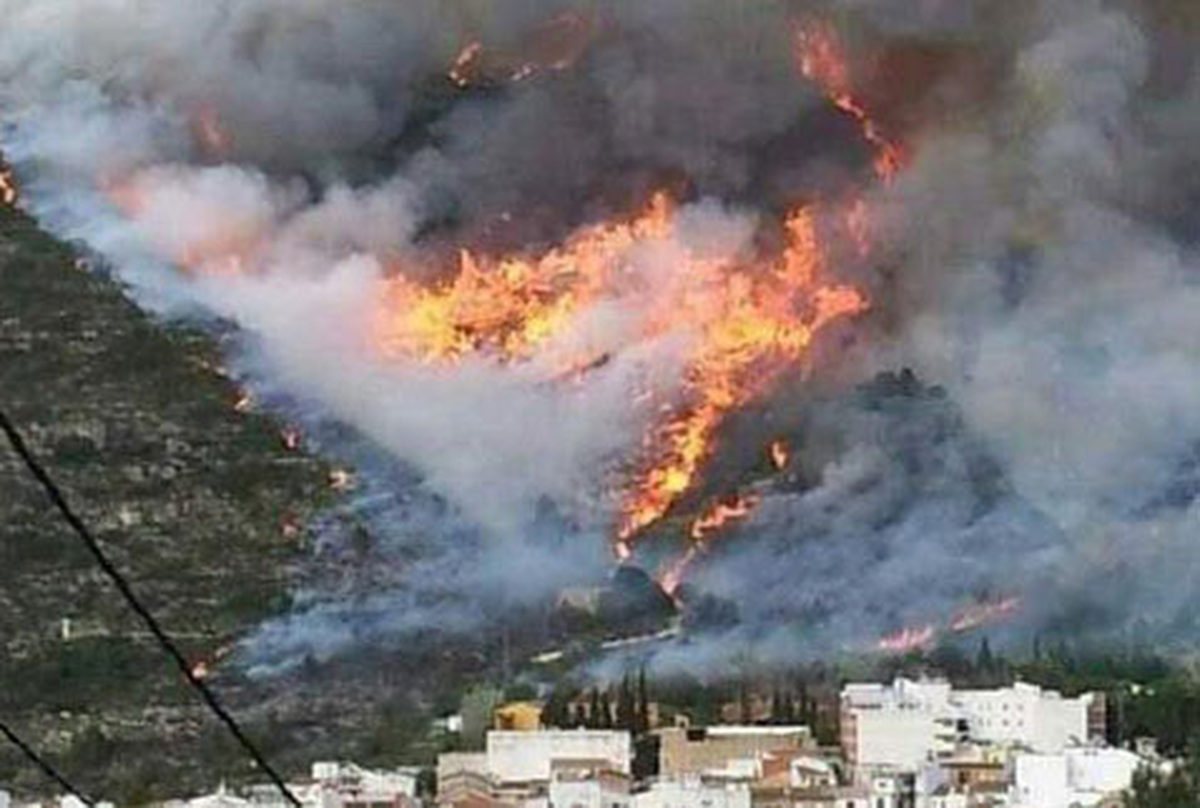 İspanya\'nın Valencia Bölgesinde Orman Yangını