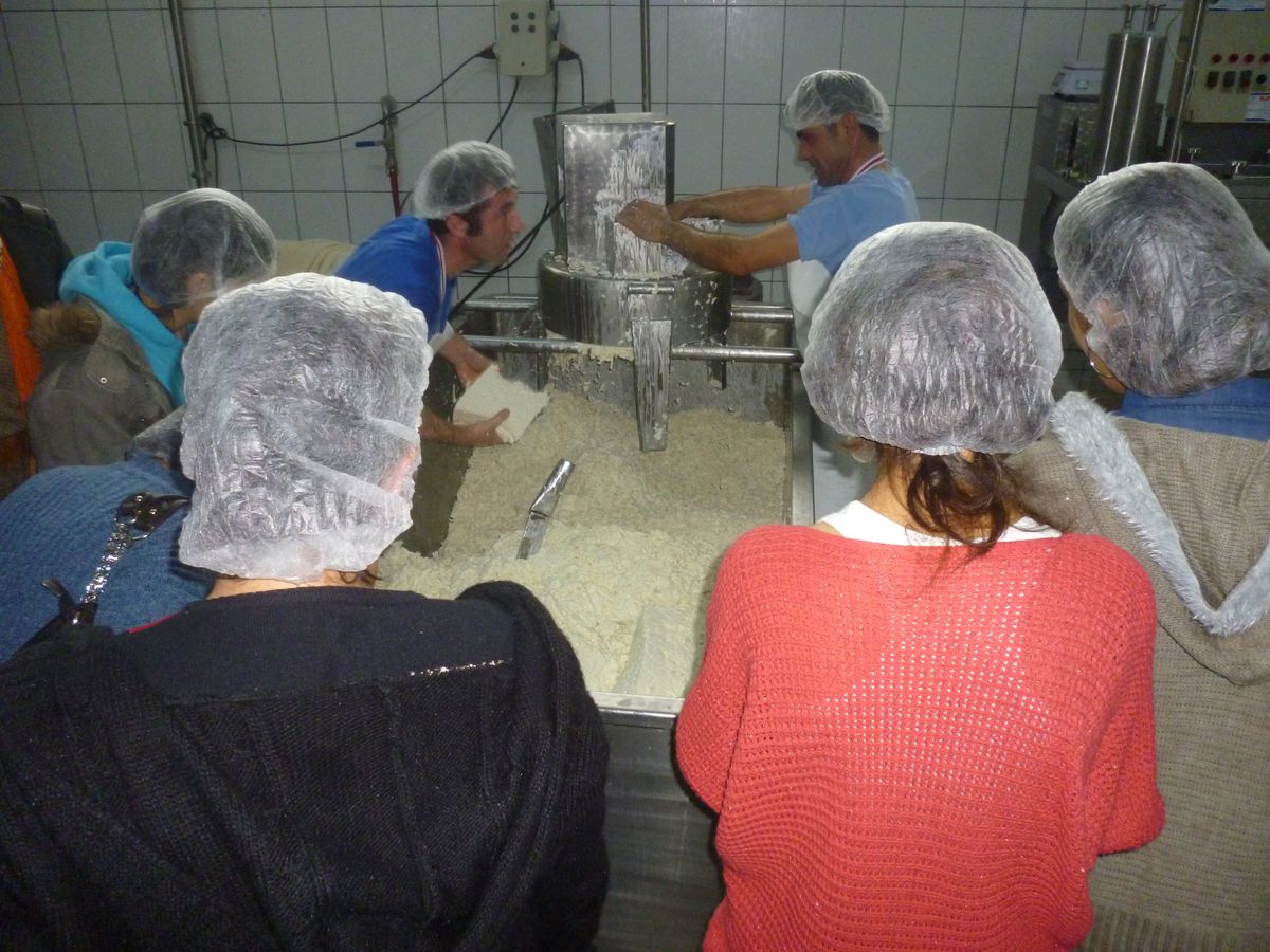 Köyceğizli Kadın Çiftçiler, Teknik Gezilerle Kendilerini Geliştiriyor