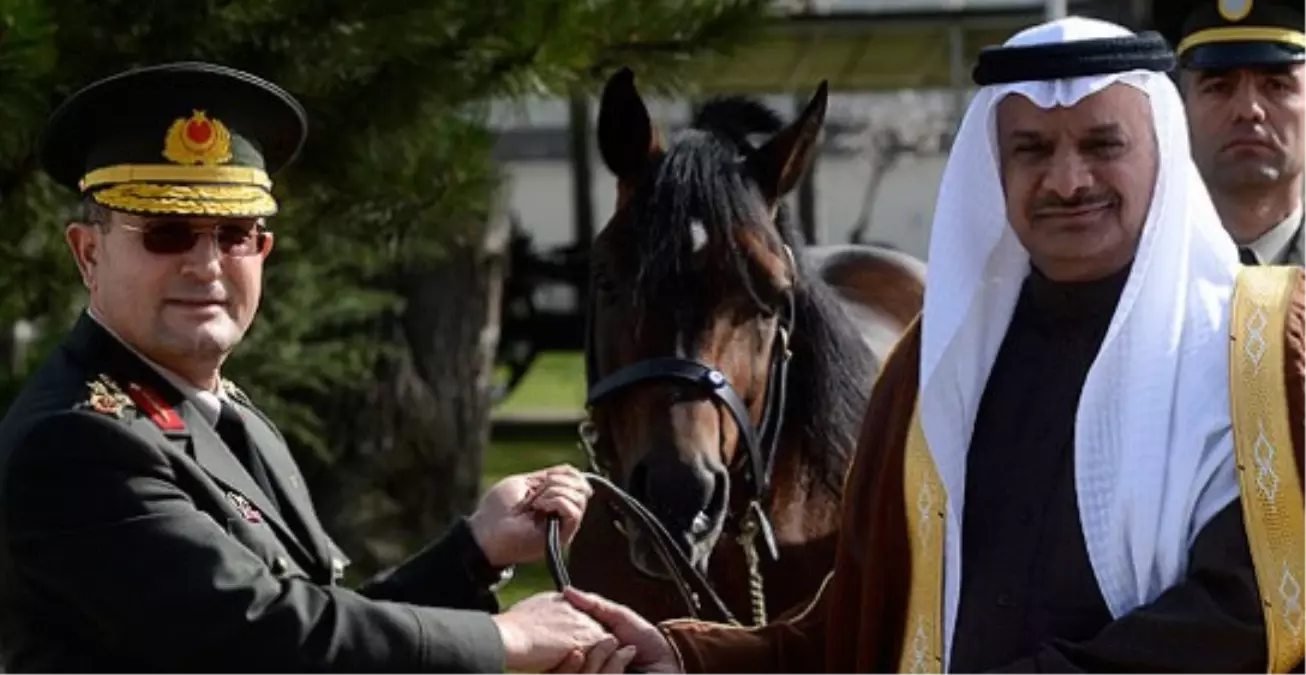 \'\'At Türk\'ün Kanadıdır\'\'