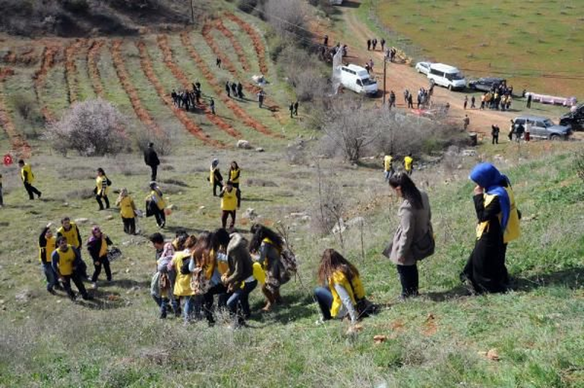 Tokat\'ta 2012 Yılında 650 Bin Fidan Dikildi