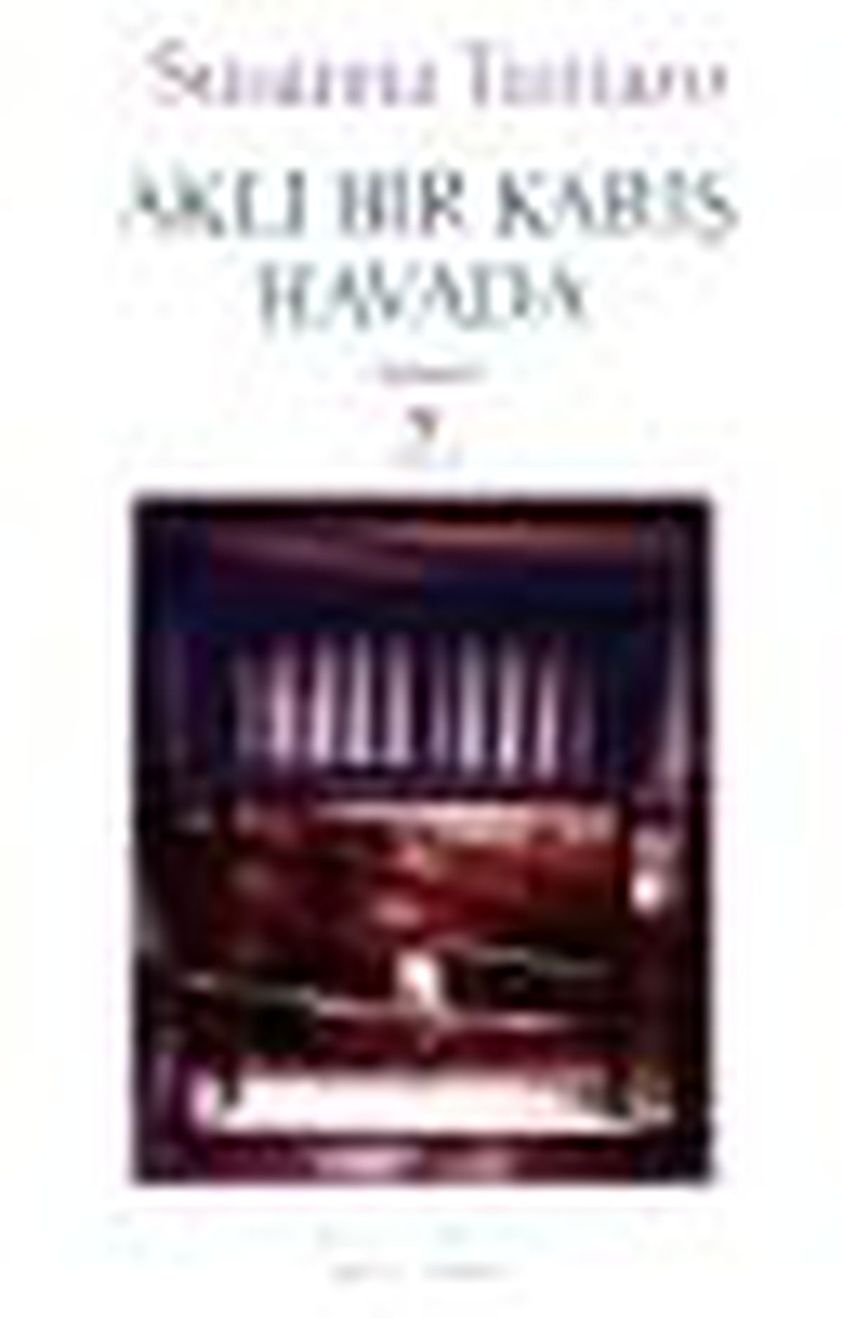 Aklı Bir Karış Havada Kitabı