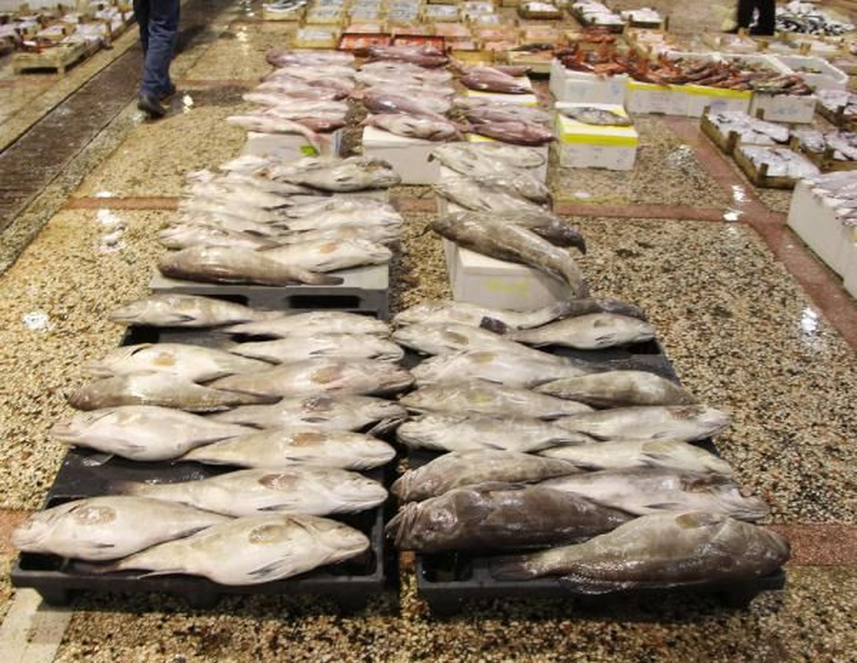 Gıda Bakanlığı "Zehirli Balık Skandalı" Hakkında Açıklama Yaptı