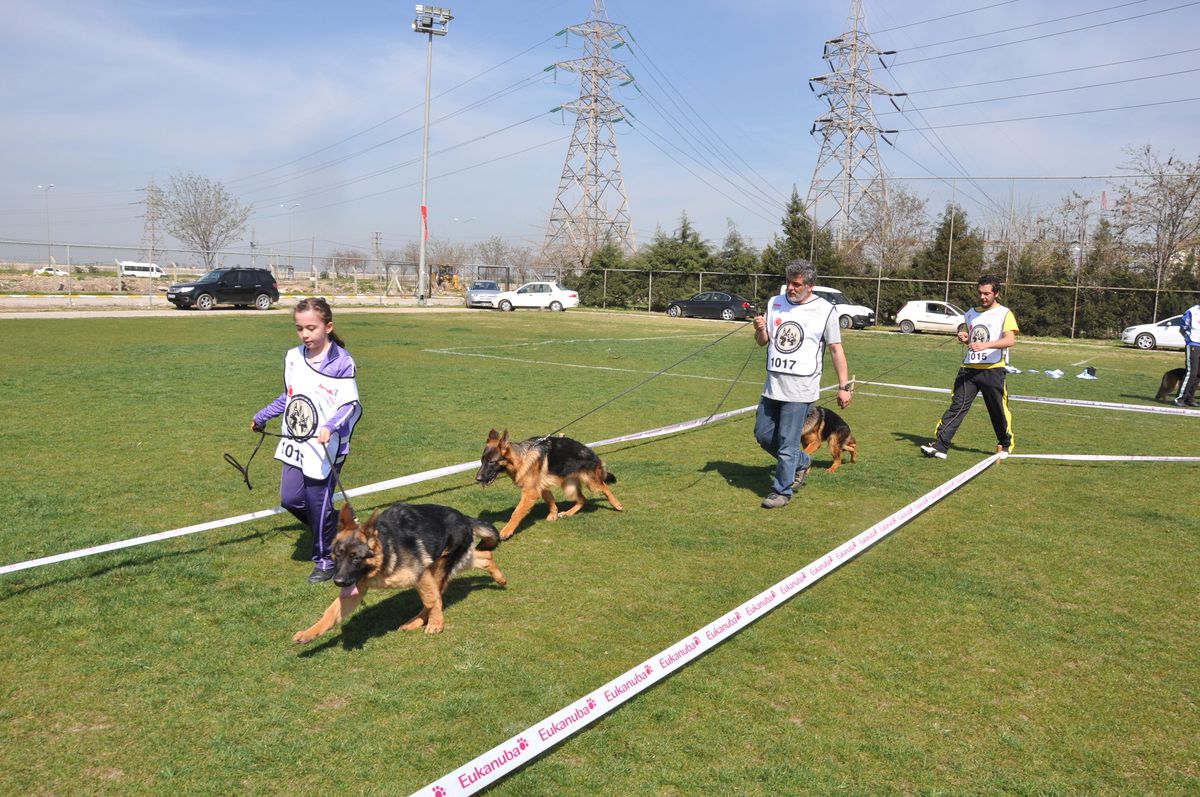 K-9 Köpekleri Menemen\'de Yarıştı