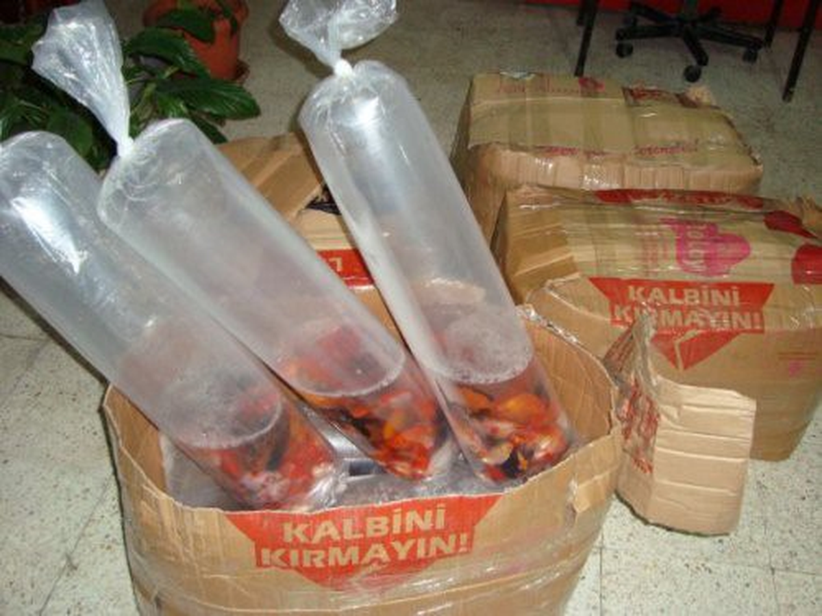 Kırıkhan\'da 4 Bin Akvaryum Balığı Ele Geçirildi