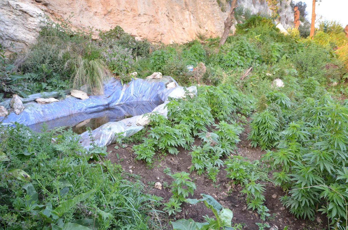 Mersin\'de Uyuşturucu Operasyonu