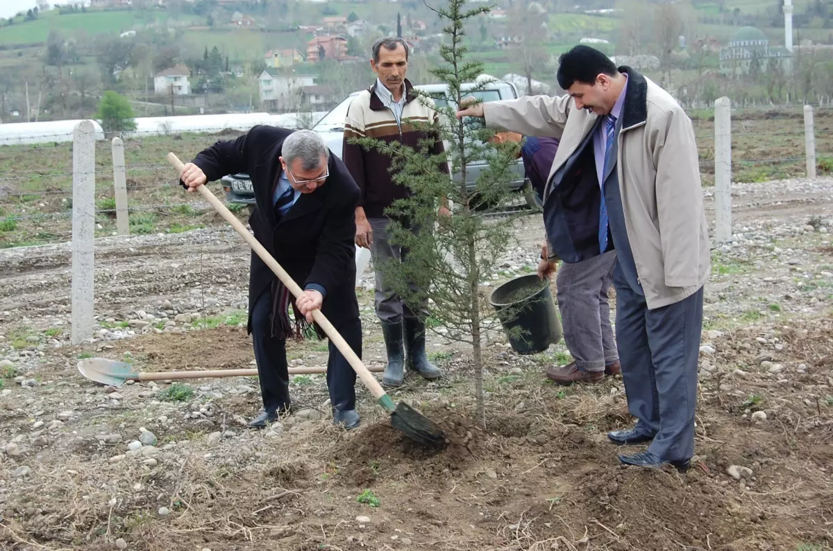 Orman Haftası Çaycuma\'da Ağaç Dikimiyle Kutlandı