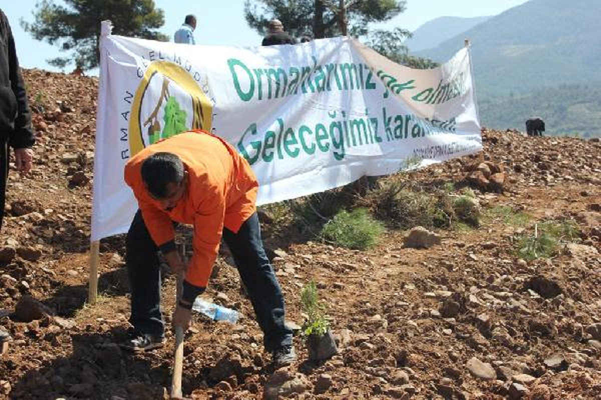 Osmaniye\'de Mahkumlar Fidan Dikti