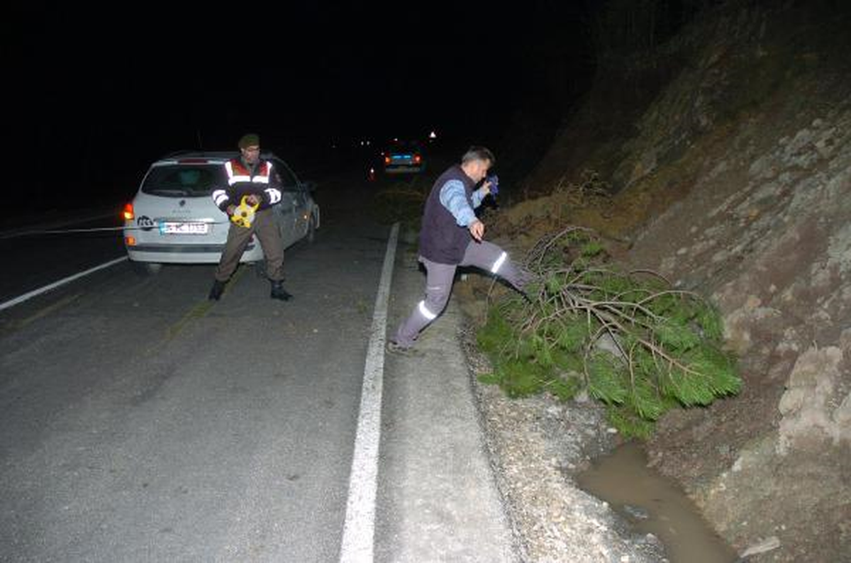 Seyir Halindeki Otomobilin Üzerine Ağaç Devrildi